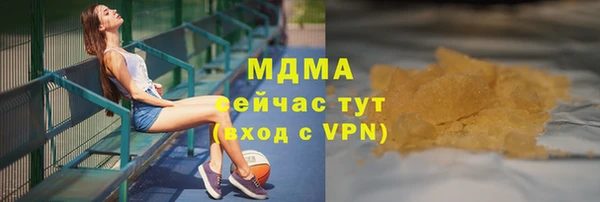 стаф Алзамай