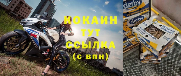стаф Алзамай