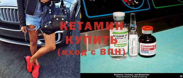 стаф Алзамай