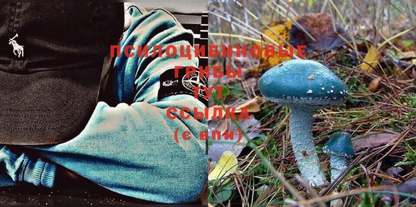 стаф Алзамай