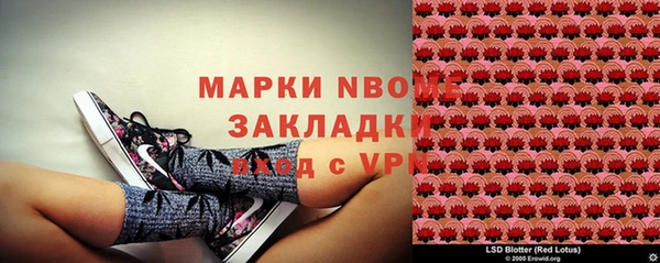 стаф Алзамай