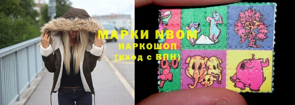 стаф Алзамай