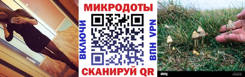 Галлюциногенные грибы мухоморы  Муравленко 